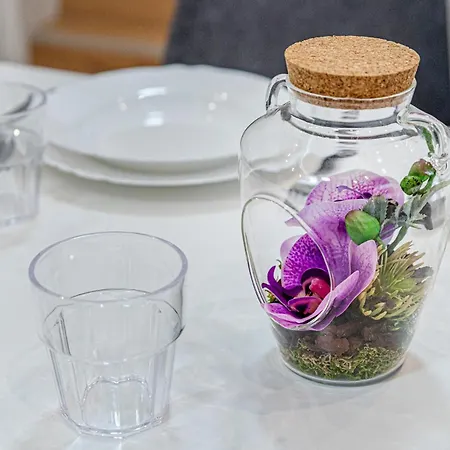 Luminosa Bright Flat With Ac 公寓 *